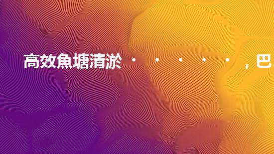 高效魚塘清淤，巴洛仕設(shè)備助力生態(tài)養(yǎng)殖